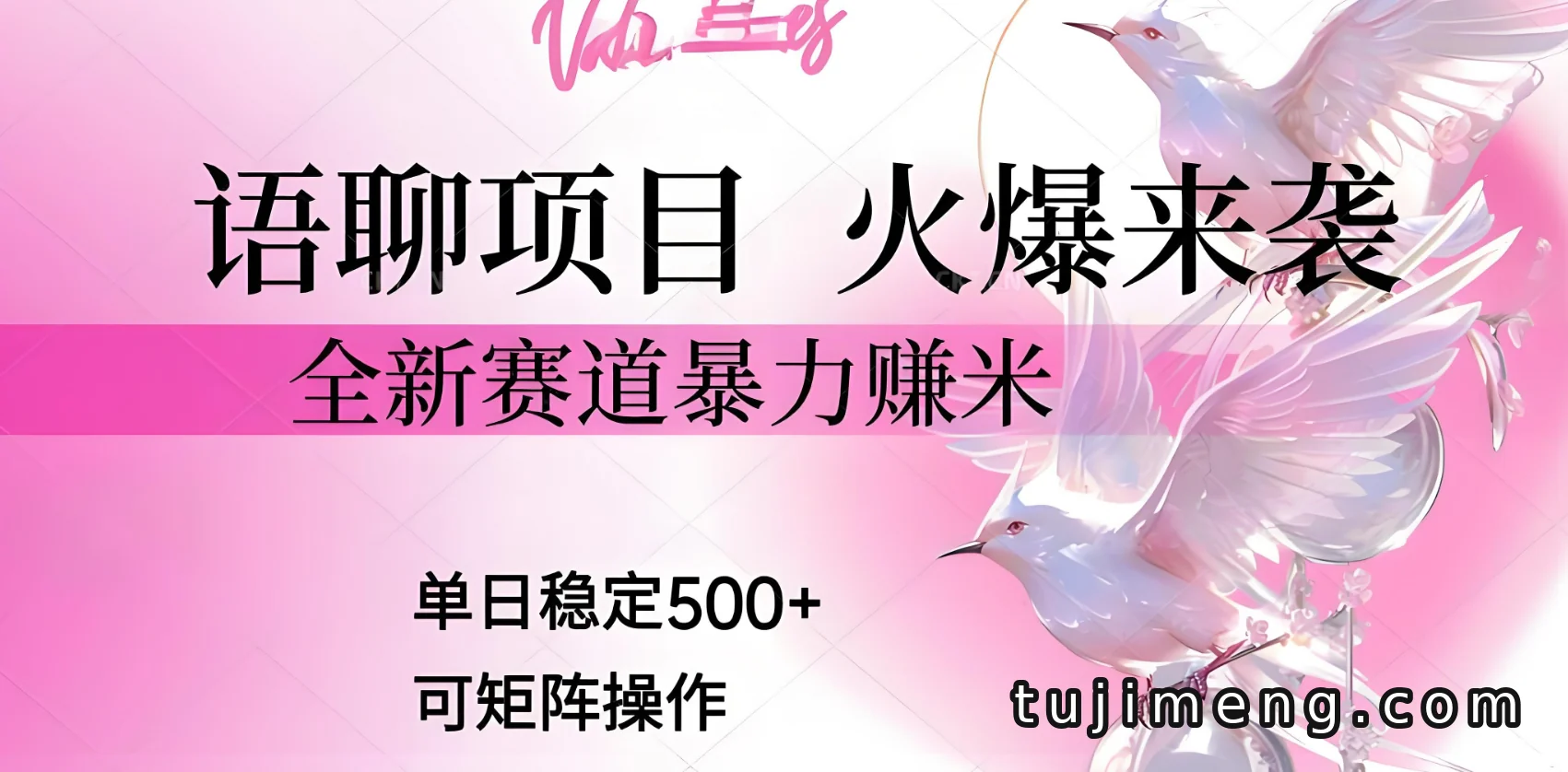语聊项目拆解：交友APP赚钱新赛道，单日稳定500+可矩阵操作