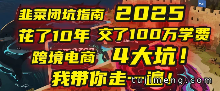 跨境电商10年,亚马逊TikTok独立站Temu的坑别踩