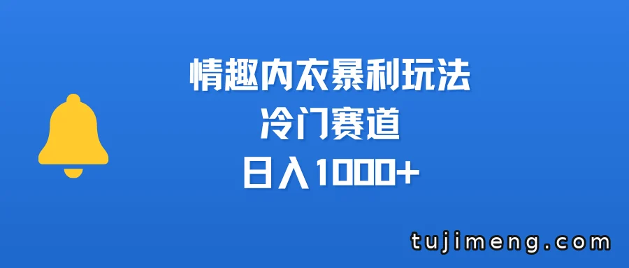 情趣内衣冷门赛道,为什么毛利率能做得这么高
