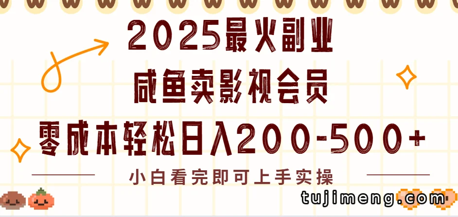 闲鱼卖VIP影视会员副业,零成本日入200到500靠谱吗